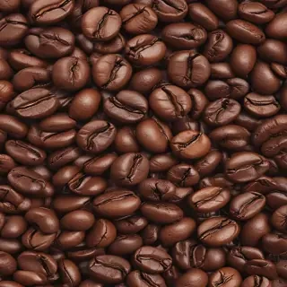 coffee bean png