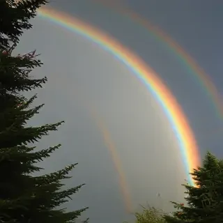double rainbow