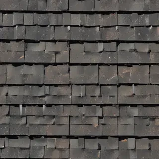 pictures of shingles