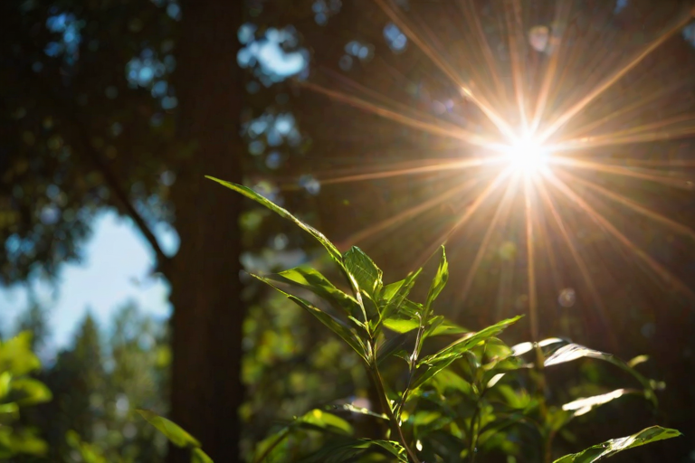 lens flare