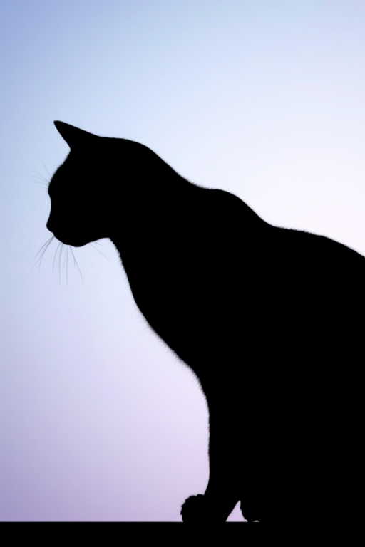Generate an image of a stylized black cat silhouette against a gradient background, using a DSLR camera with a 50mm lens, aperture f/2.8, ISO 100, and a soft focus effect, capturing a side view to enhance the details of the cat's form and the background colors.