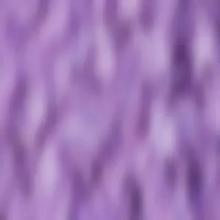 lilac aesthetic