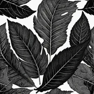 clipart of leaf black and white