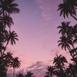 aesthetic cover photo