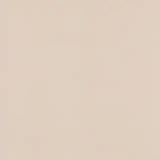 neutral aesthetic wallpaper