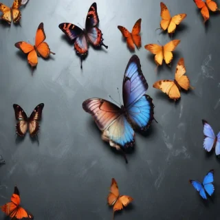 background images of butterfly