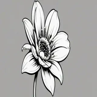 flower clip art black and white