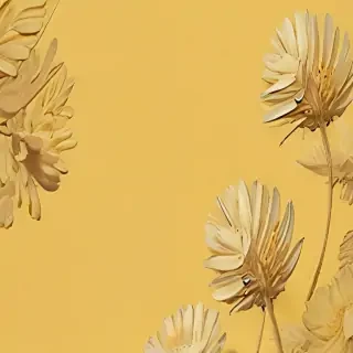 aesthetic yellow bg