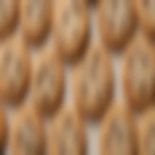 chocolate chip cookies png