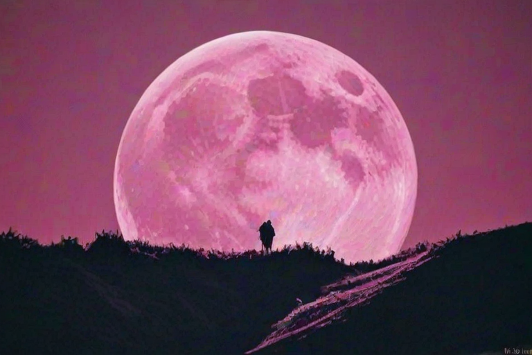 pink moon wallpaper