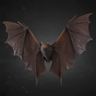bat wings png