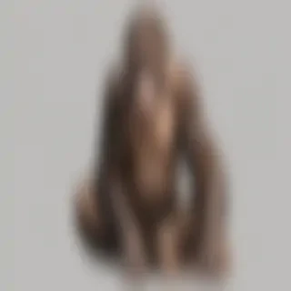 ape png