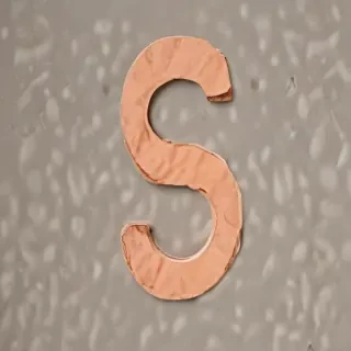 letter s