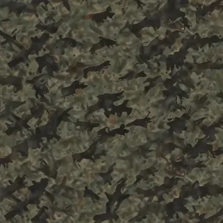 army backround