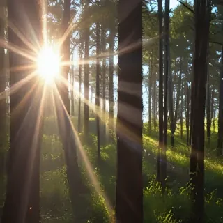 lens flare