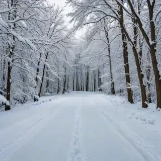 winter zoom background