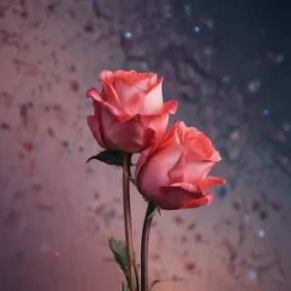 simple iphone wallpaper