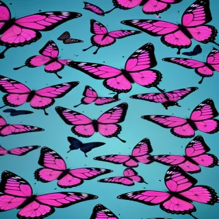 butterfly aesthetic backgrounds