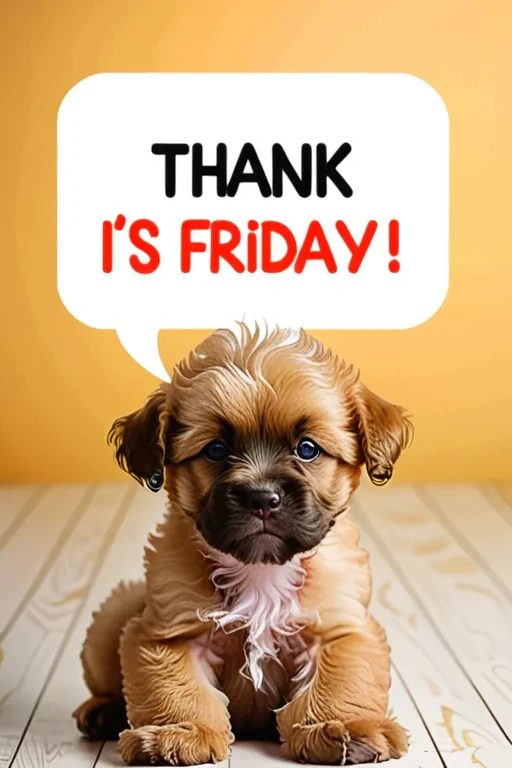 images of thank god its friday