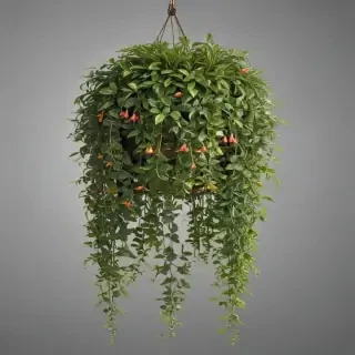 hanging plants png