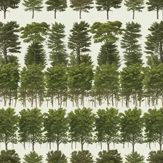 trees no background