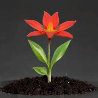 seedling png