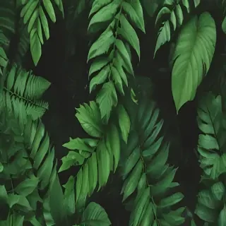 greenery background aesthetic
