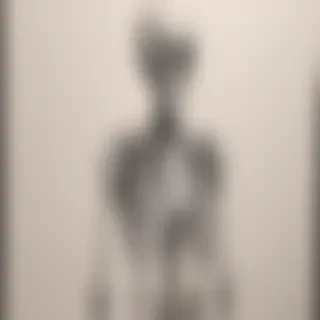 creative skeleton drawing art
