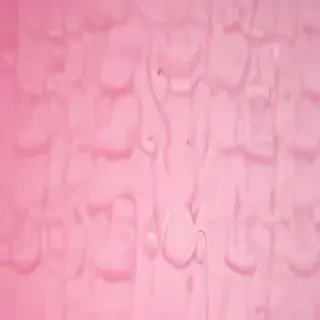cute pink wallpapers