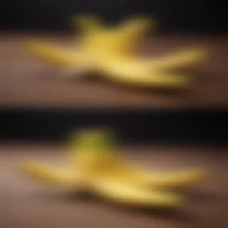 banana peel png