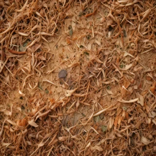 scratchy texture