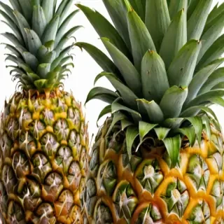 pineapple png