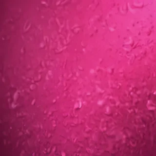 hot pink wallpaper iphone