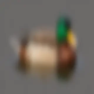 duck png