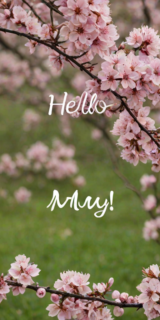 hello may images