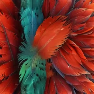 feather background