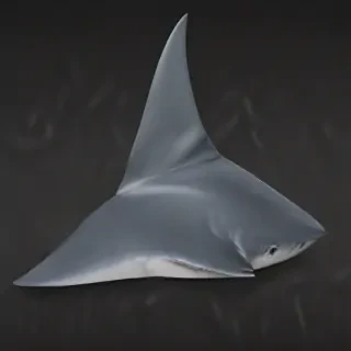 shark fin png