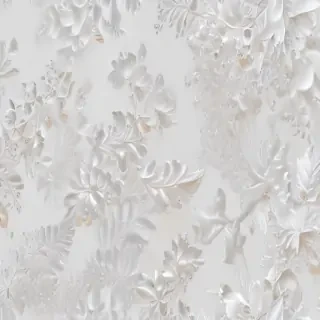 white bg