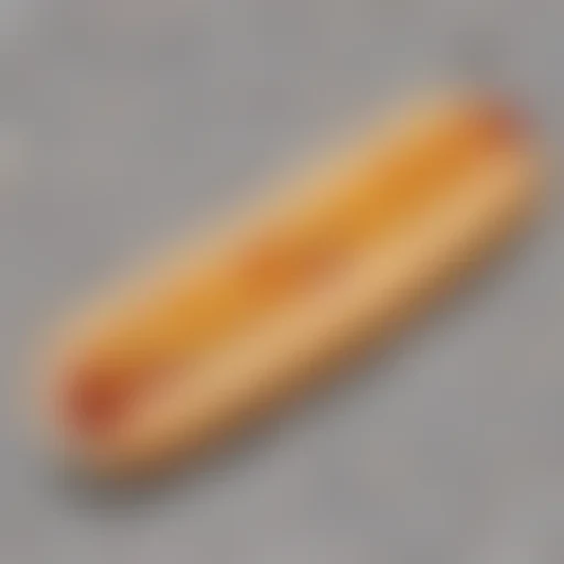 hotdog png