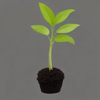 seedling png