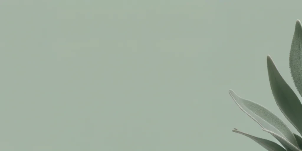 sage green aesthetic background