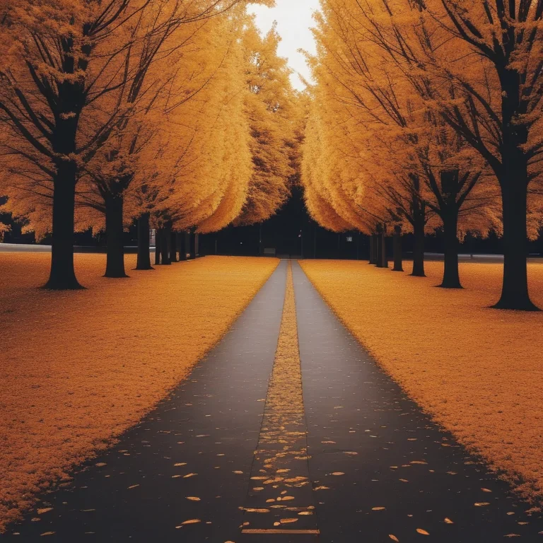 fall wallpapers iphone
