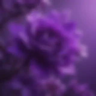 purple lockscreen