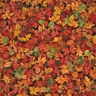 fall leaves