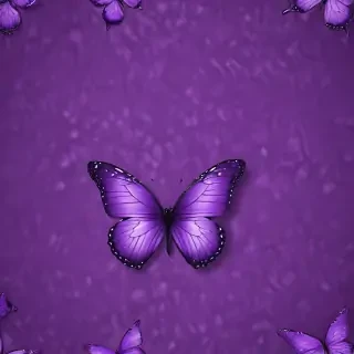 purple wallpapers butterfly