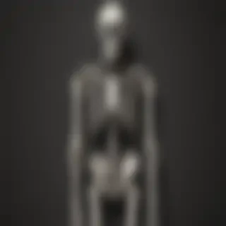 skeleton iphone wallpaper