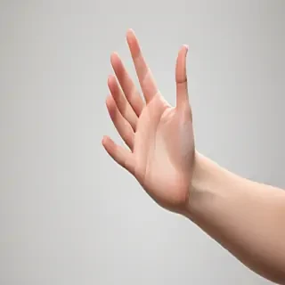 hand reaching png
