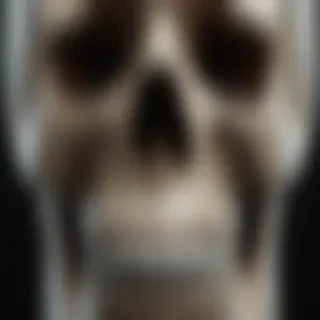 skull face png