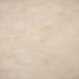 neutral colors background