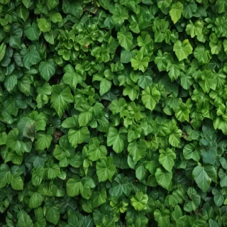 green leaves background